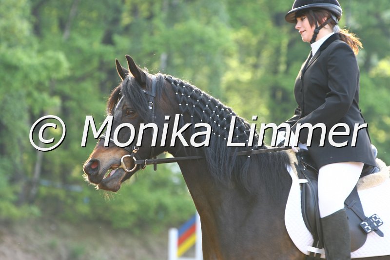 104M4794_Mischa_Dressur E.JPG